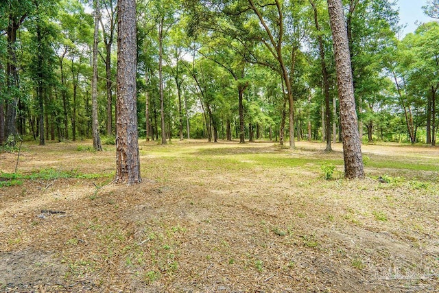 6050 Cheyenne Dr, Milton, FL 32570 - view of yard with a view of trees
