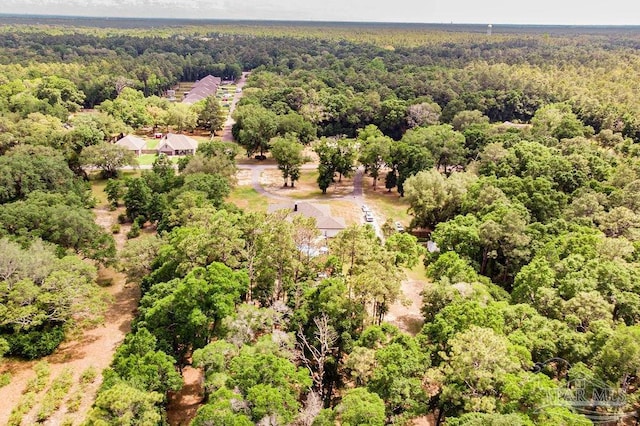 6050 Cheyenne Dr, Milton, FL 32570 - bird's eye view of a forest