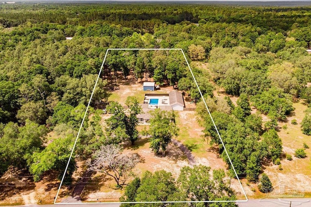 6050 Cheyenne Dr, Milton, FL 32570 - view from above of property with a forest and property parcel outlined