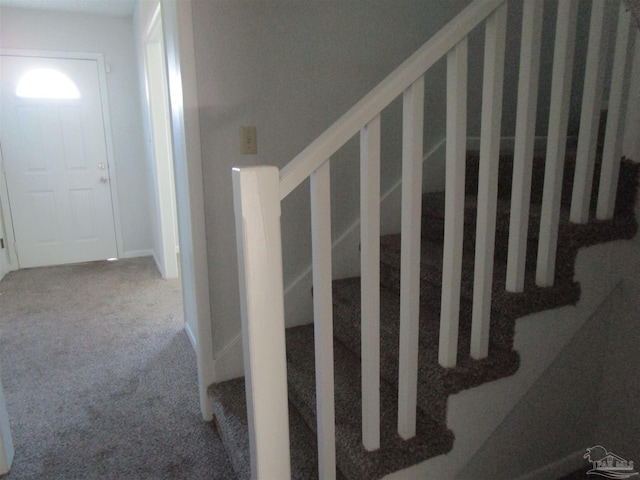 staircase featuring carpet