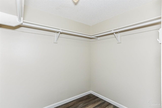 walk in closet with dark wood-style floors