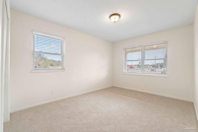 spare room with carpet flooring and a healthy amount of sunlight