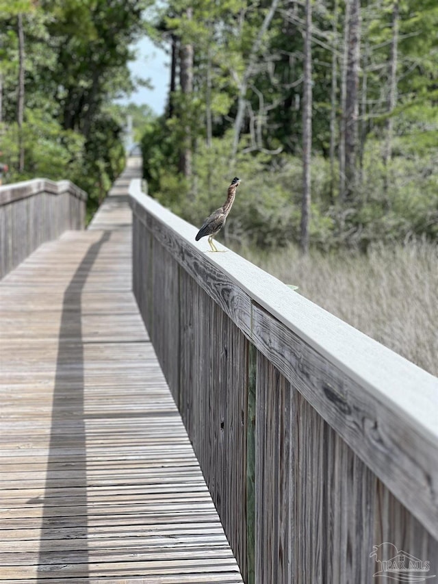 13844 Red Drum Ct, Perdido Key, FL 32507 - view of dock