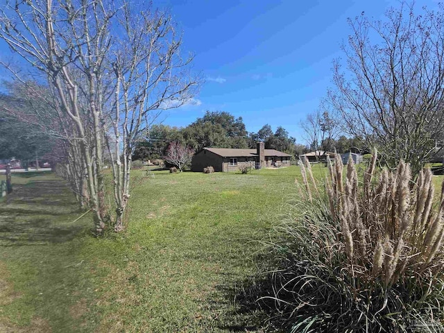 12741 S Santa Piedro, Lillian, AL 36549 - view of yard