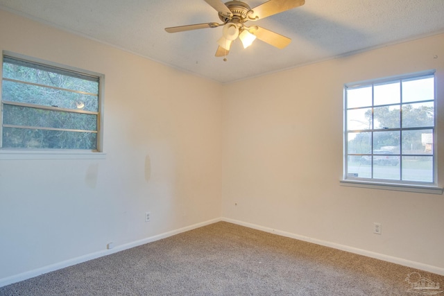 unfurnished room with a wealth of natural light, carpet, a textured ceiling, and ceiling fan