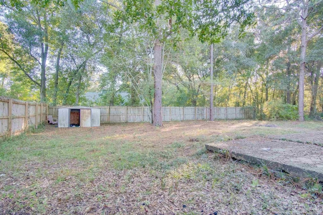 view of yard featuring a storage unit