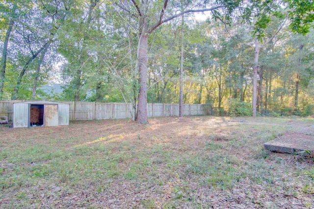 view of yard with a storage unit