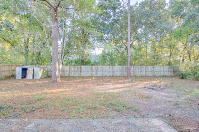 view of yard featuring a shed