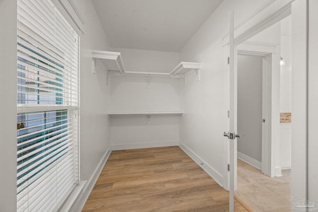 6264 Howie Way, Pace, FL 32571 - walk in closet with light wood-style flooring