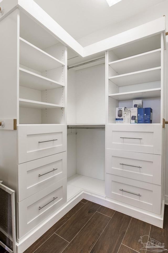 spacious closet featuring dark wood-style flooring