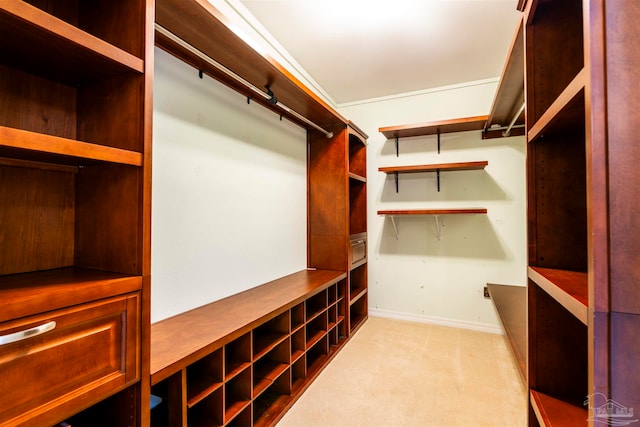 spacious closet with light carpet