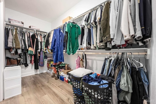 3248 Mountain Laurel Trl, Cantonment, FL 32533 - walk in closet with wood finished floors