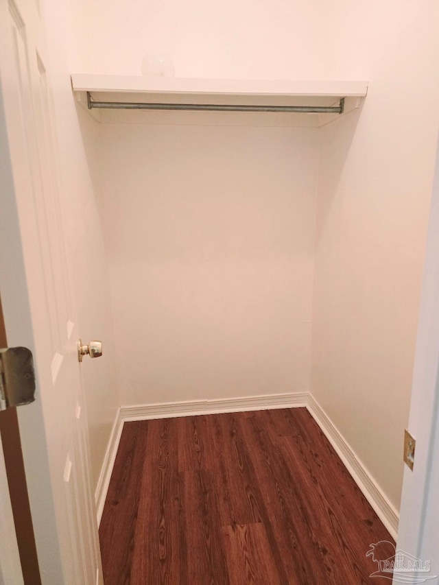 spacious closet with hardwood / wood-style flooring