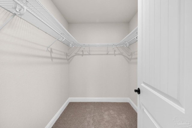 7917 Twin Lake Dr, Milton, FL 32583 - walk in closet featuring carpet floors
