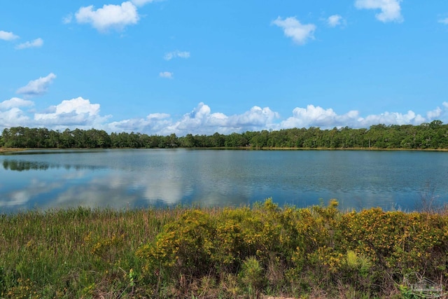 7917 Twin Lake Dr, Milton, FL 32583 - water view featuring a forest