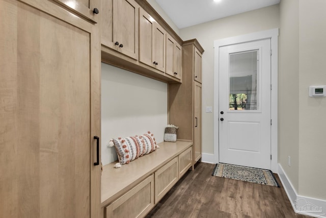 mudroom featuring dark hardwood / wood-style flooring