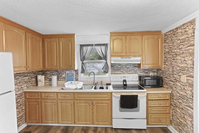 kitchen with a sink, under cabinet range hood, light countertops, white appliances, and dark wood-style flooring