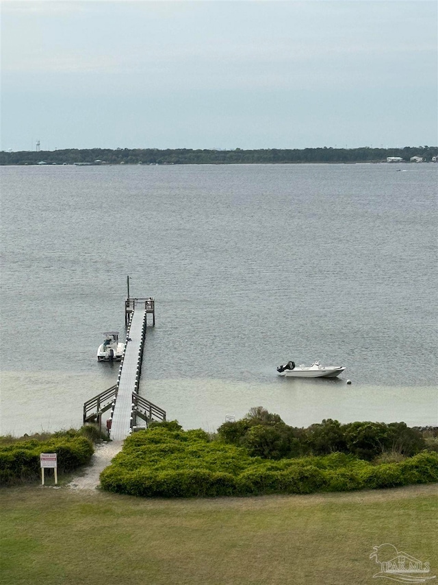 water view featuring a boat dock