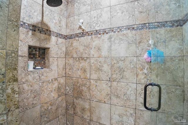 interior details featuring a shower stall