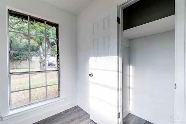 entryway featuring dark wood-type flooring