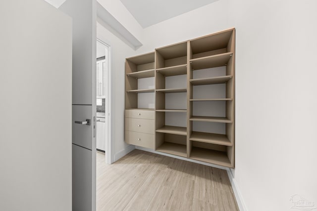 spacious closet featuring light hardwood / wood-style flooring