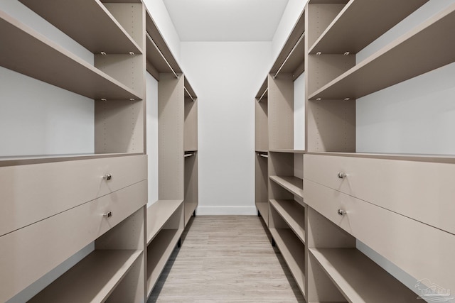 walk in closet with light wood-type flooring