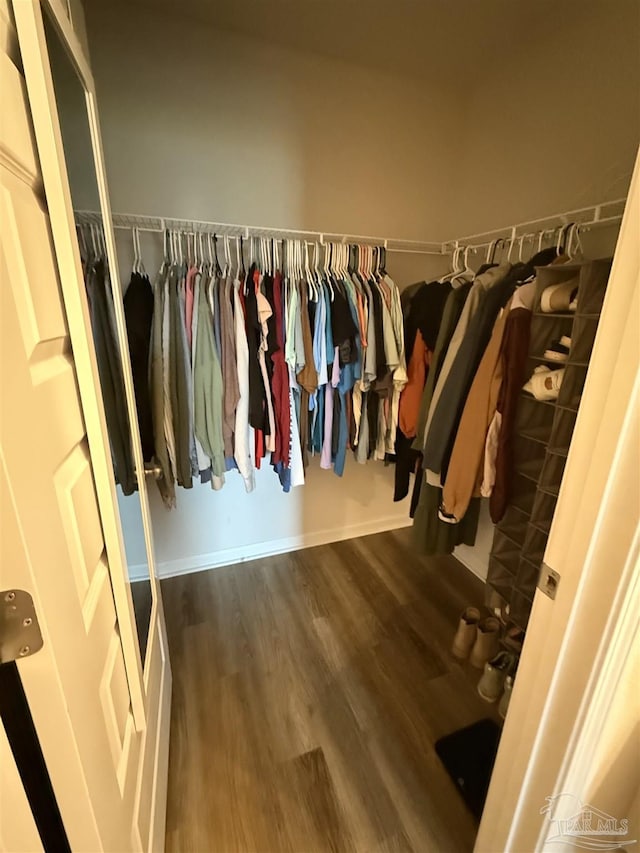 6312 June Bug Dr, Milton, FL 32583 - walk in closet with wood finished floors