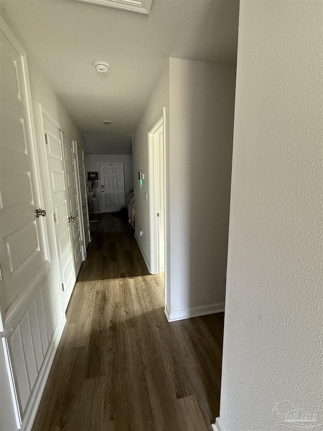 6312 June Bug Dr, Milton, FL 32583 - hallway featuring dark wood-type flooring and baseboards