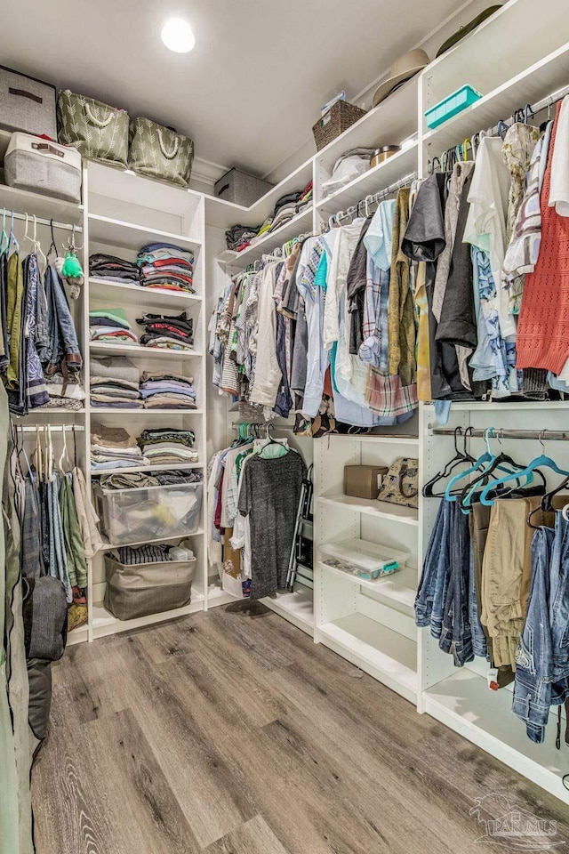 spacious closet with wood-type flooring