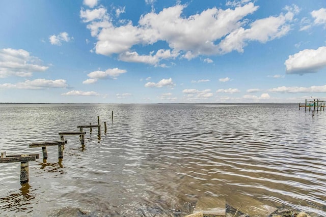 dock area with a water view