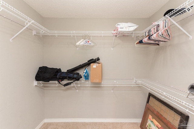 spacious closet with carpet