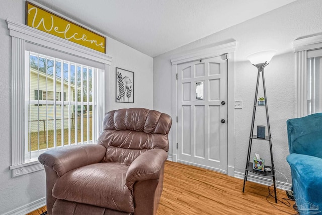 sitting room with wood-type flooring