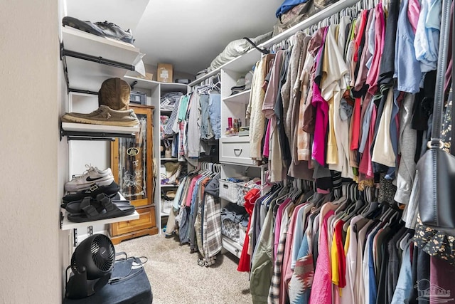 walk in closet featuring carpet flooring