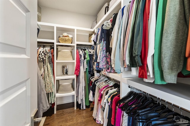 7956 Huntington Creek Ln, Pensacola, FL 32526 - spacious closet featuring wood finished floors