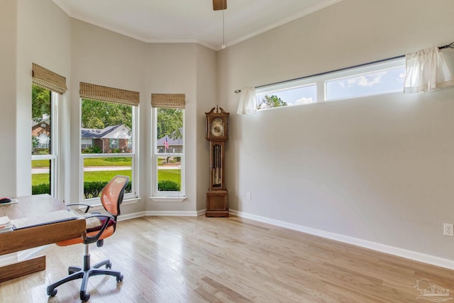 office featuring light hardwood / wood-style flooring, a towering ceiling, and ornamental molding