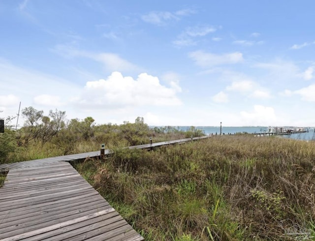 dock area with a water view