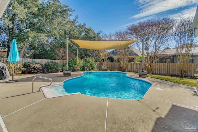 view of pool with a patio