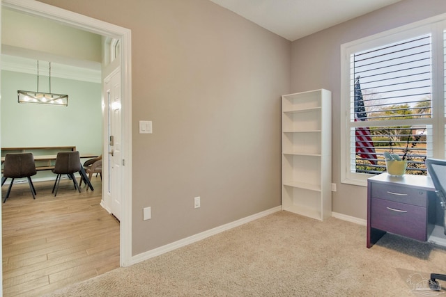 carpeted office with a wealth of natural light