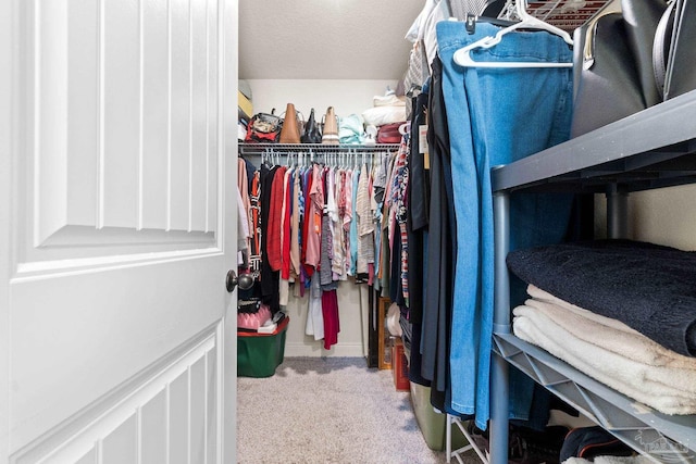 walk in closet featuring carpet floors