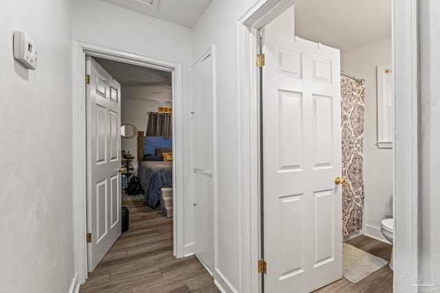 hall featuring hardwood / wood-style flooring