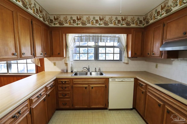 kitchen with black electric cooktop, white dishwasher, a healthy amount of sunlight, sink, and range hood