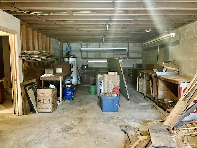 basement with electric water heater