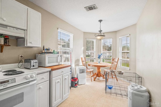 kitchen with hanging light fixtures, white appliances, plenty of natural light, and ventilation hood