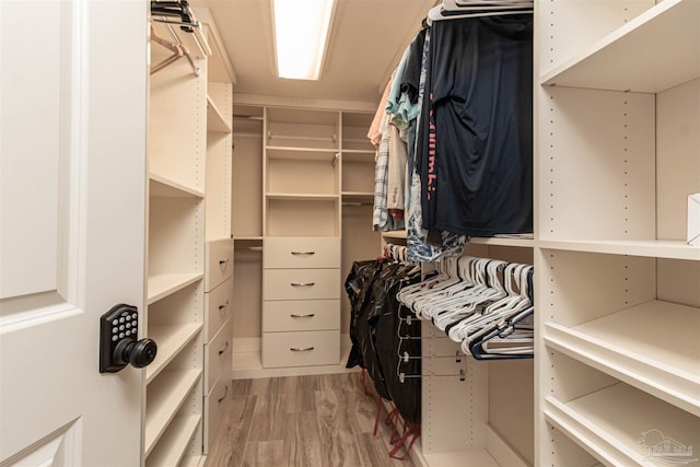 spacious closet featuring light wood-type flooring