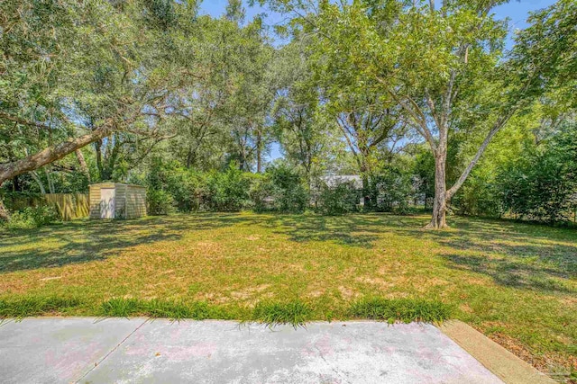 view of yard featuring a storage shed