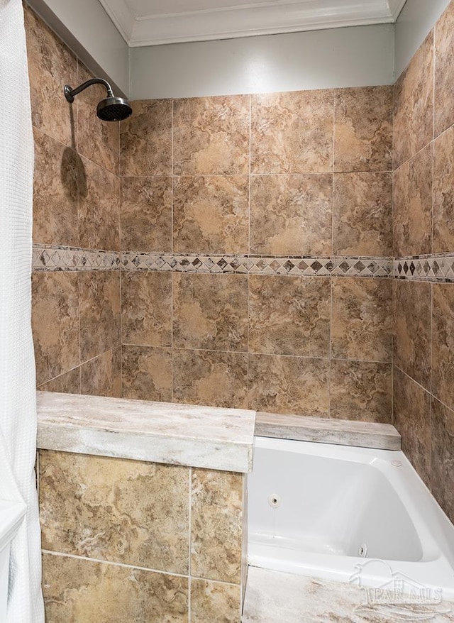 bathroom with ornamental molding