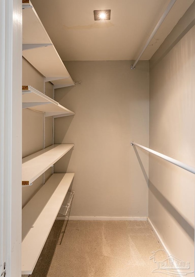 walk in closet featuring carpet