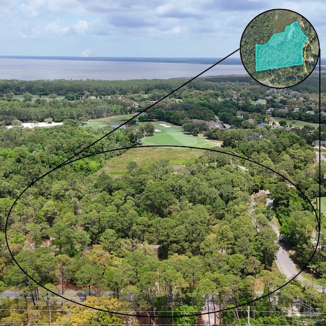 0 Peninsula Blvd Unit 1, Gulf Shores, AL 36542 - drone / aerial view of a forest