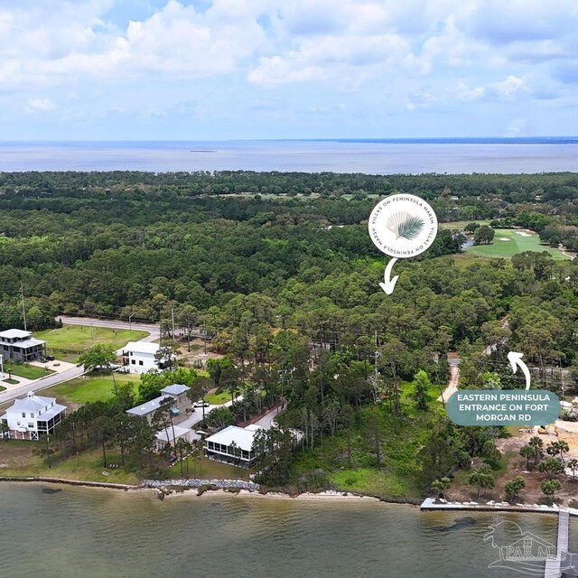 0 Peninsula Blvd Unit 1, Gulf Shores, AL 36542 - drone / aerial view of a large body of water and a forest