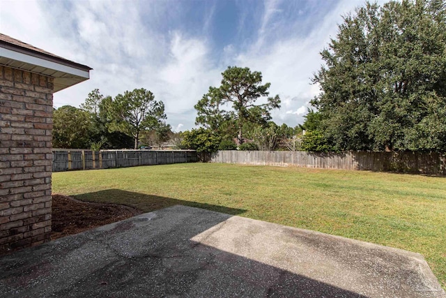 view of yard featuring a patio area